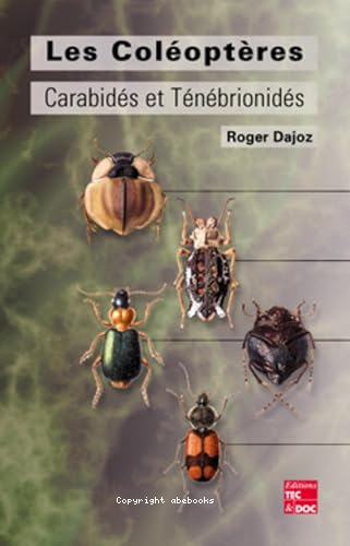 Les coléoptères : carabidés et ténébrionidés