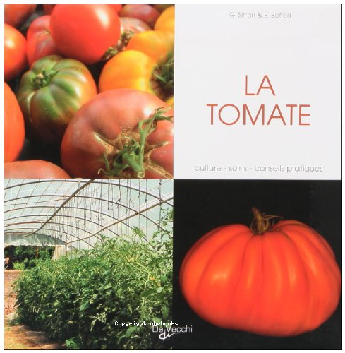 La tomate : culture-soins-conseils pratiques
