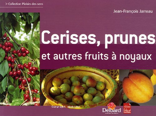 Cerises, prunes et autres fruits à noyaux