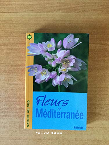 Fleurs de méditerranée
