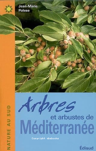 Arbres arbustes de méditerranée