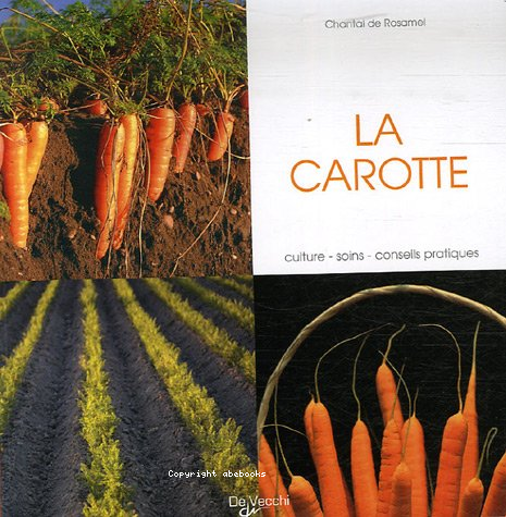 La carotte : culture - soins - conseils pratiques