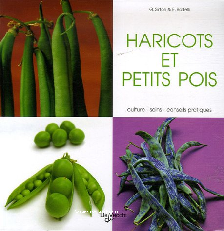 Haricots et petits pois : culture - soins - conseils pratiques