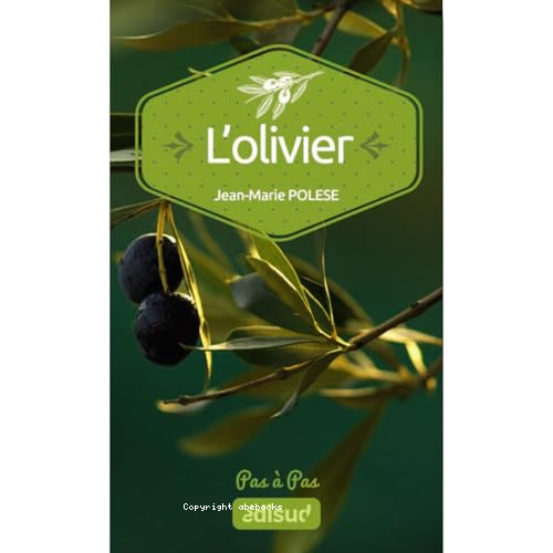 Olivier pas à pas