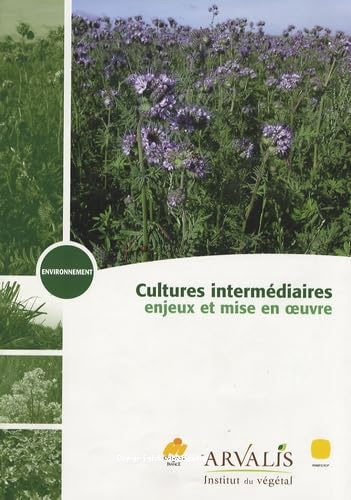 Cultures intérmédiaires : enjeux et mise en oeuvre