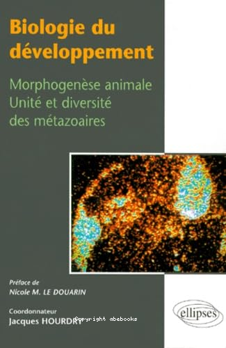 biologie du développement : Morphogenèse animale, Unité et diversité des métaeoaires
