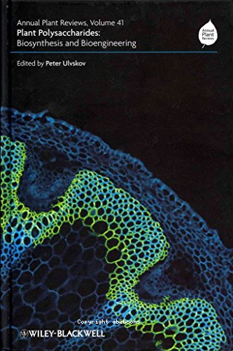 Plant polysaccharides, biosynthesis and bioengineering