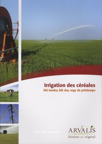 Irrigation des céréales : blé tendre, blé dur, orge de printemps