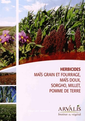 Herbicides maïs grain et fourrage, maïs doux, sorgho, millet, pomme de terre