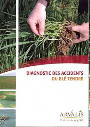 diagnostic des accidents du blé tendre
