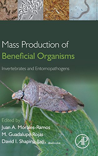Mass production of beneficial organisms