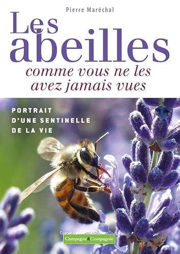 les abeilles comme vous ne les avez jamais vues