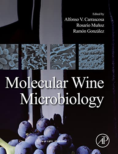 Molecular wine microbiology