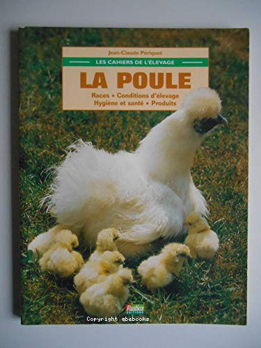 La poule : races conditions d'élevage hygiène et santé produits