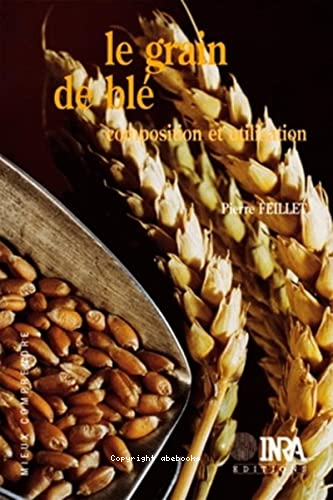 Le grain de blé : composition et utilisation