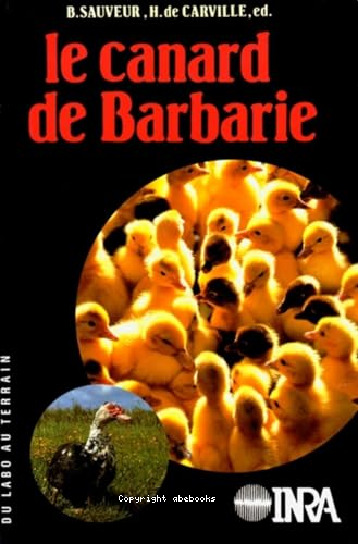 Le canard de barbarie