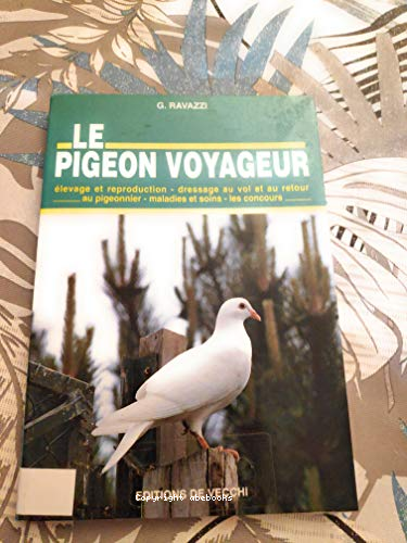 Le pigeon voyageur