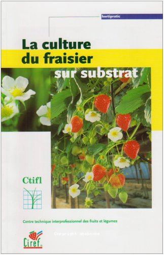 La culture du fraisier sur substrat