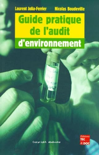 Guide pratique de l\'audit d\'environnement