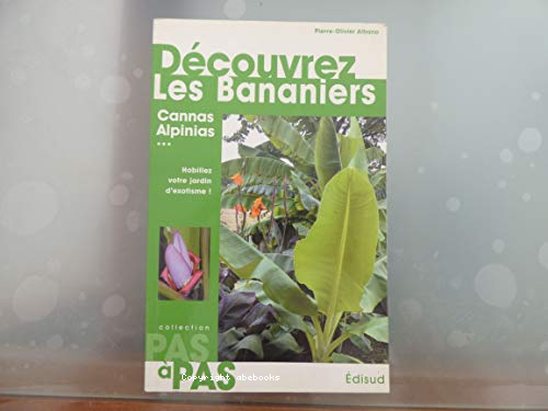 Découvrez les bananiers